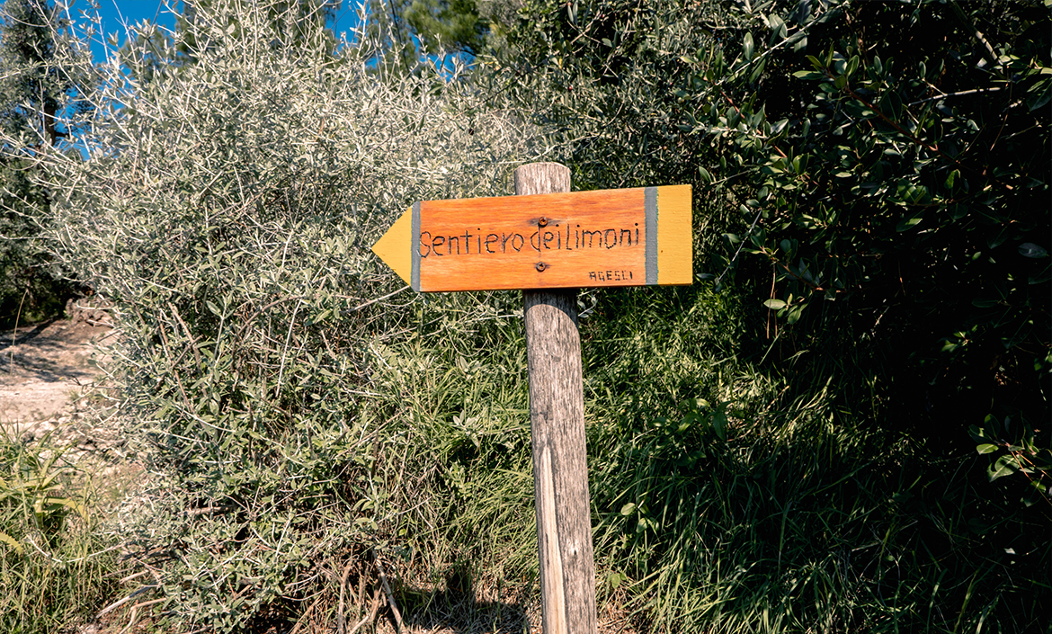 Sentiero dei Limoni Costiera Amalfitana