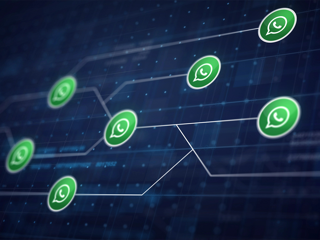 Whatsapp Automation