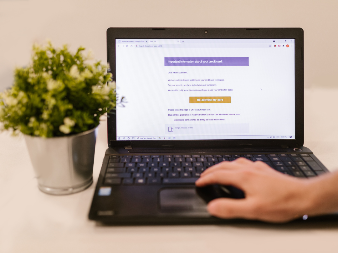 Creare template newsletter